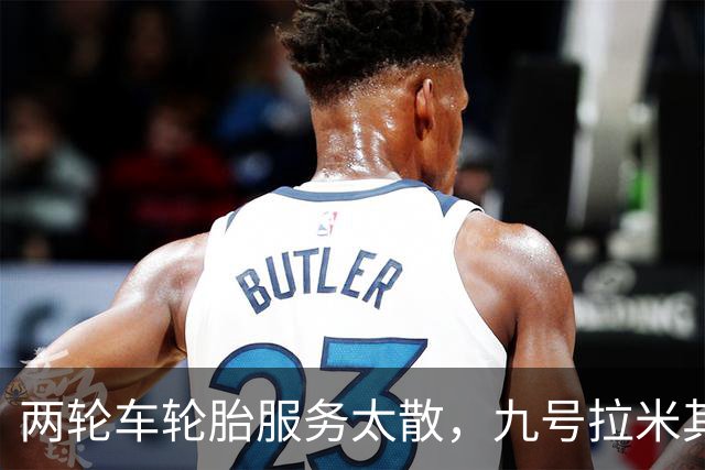 两轮车轮胎服务太散，九号拉米其林进店补课