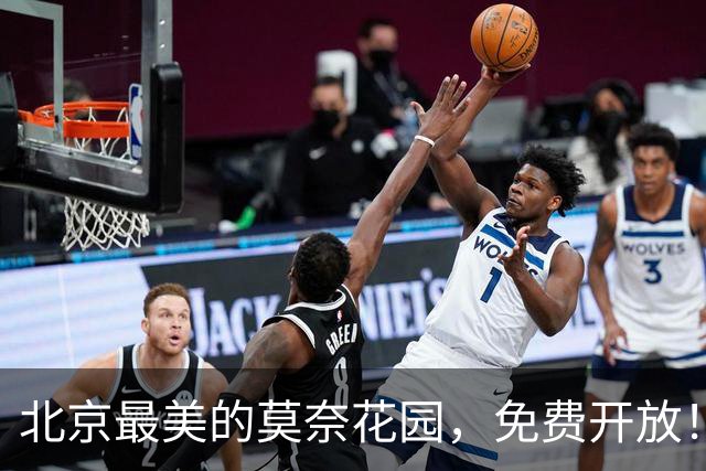 北京最美的莫奈花园，免费开放！错过再等一年