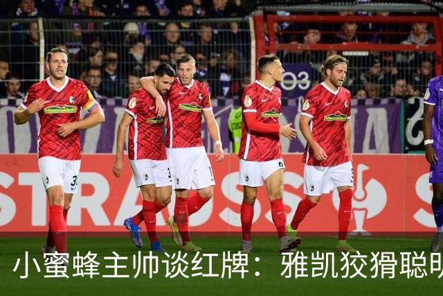 小蜜蜂主帅谈红牌：雅凯狡猾聪明，他没走向球而是走向亚尔莫柳克