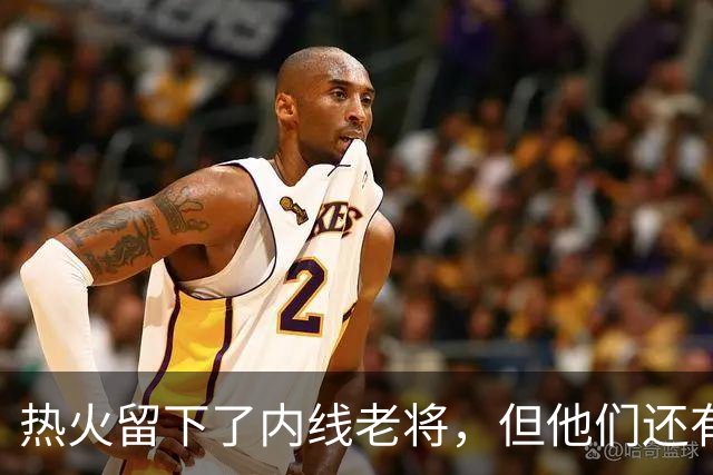 热火留下了内线老将，但他们还有一个名额处于空缺状态？