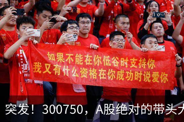 突发！300750，A股绝对的带头大哥，彻底崩了！