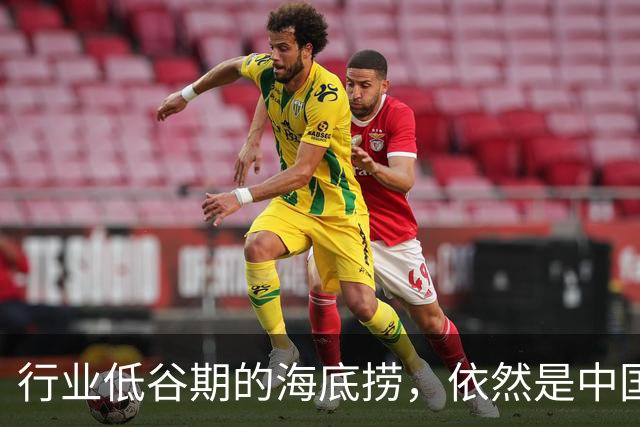 行业低谷期的海底捞，依然是中国最优秀的餐饮企业