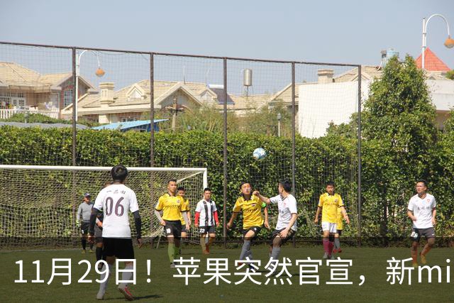 11月29日！苹果突然官宣，新mini和Pro来了！