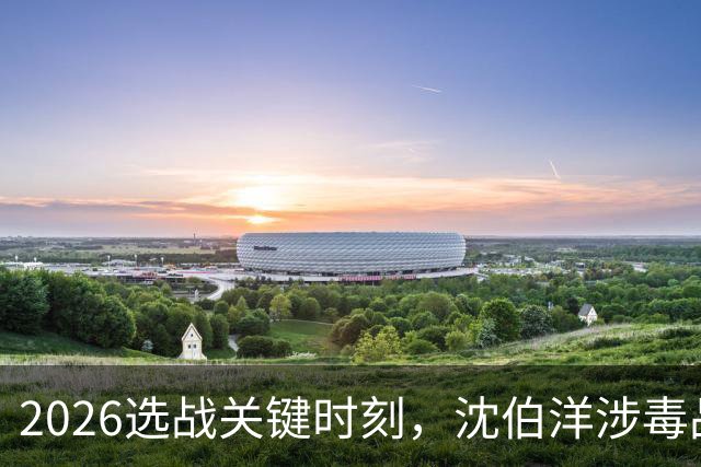 2026选战关键时刻，沈伯洋涉毒品视频疯传！赵少康已成为重要变数